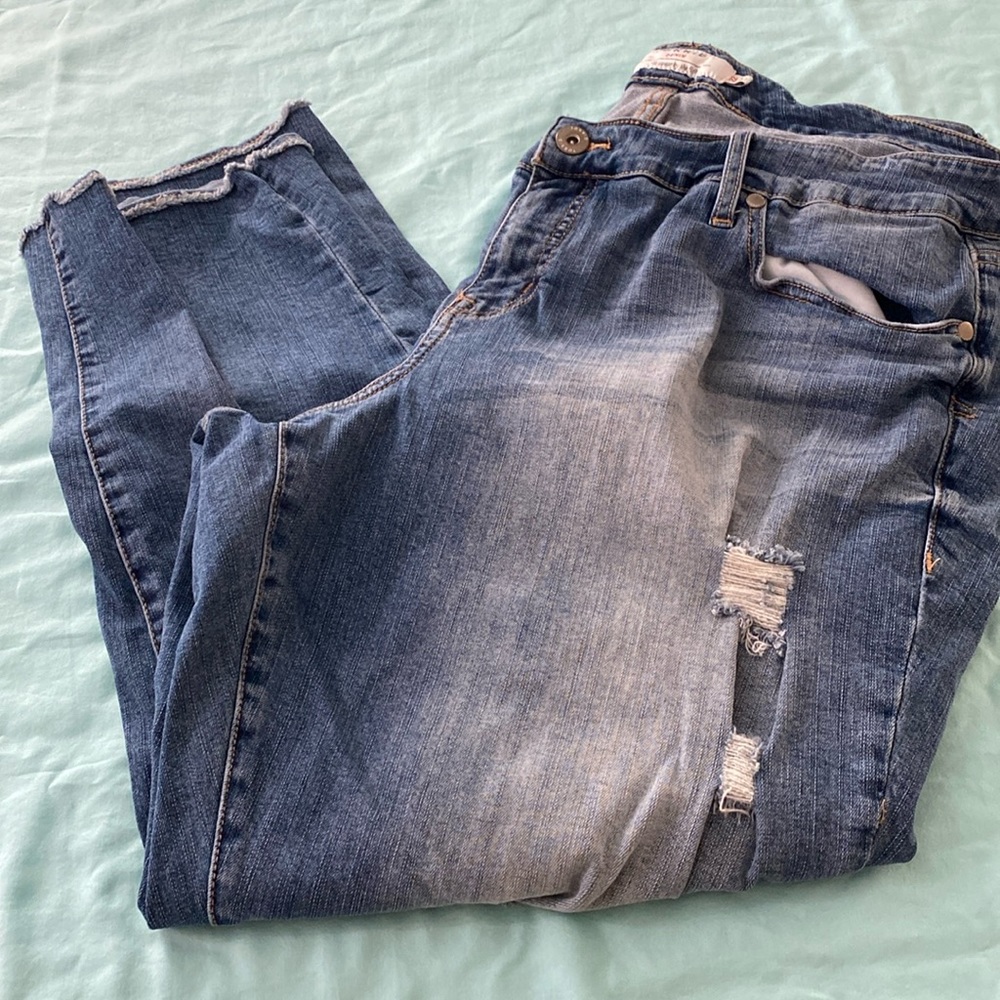 Torrid jeans